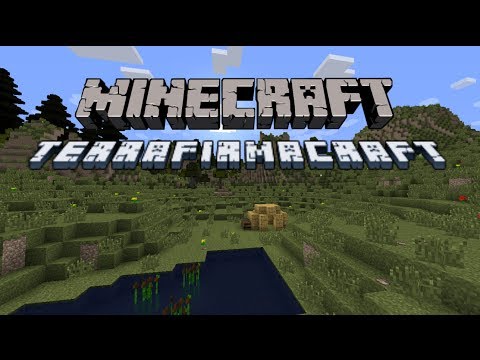 Minecraft TerraFirmaCraft #1: New Beginnings!
