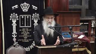 60 שנה לביאורי הרבי פרש"י על התורה , הרב נחמן שפירא שנת תשפ"ה