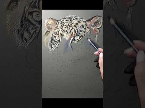 Proces   my pastels 
