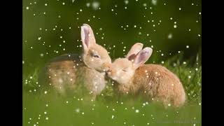 Download lagu Dj Cute Rabbit Vs Dj Inddo Slebeww 02 mp3 Download lagu Dj Cute Rabbit Vs Dj Inddo Slebeww 02 mp3