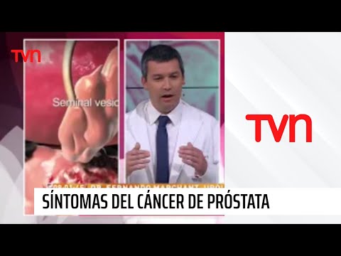 Dr. Mozzi próstata inflamada