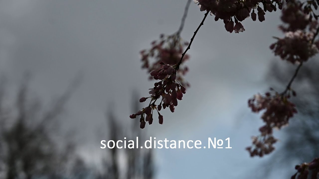 social distance №1