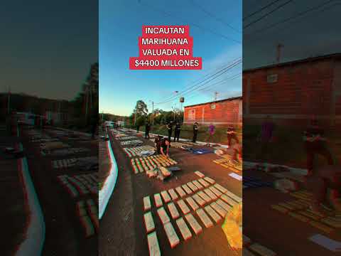 Incautan marihuana en Urquiza