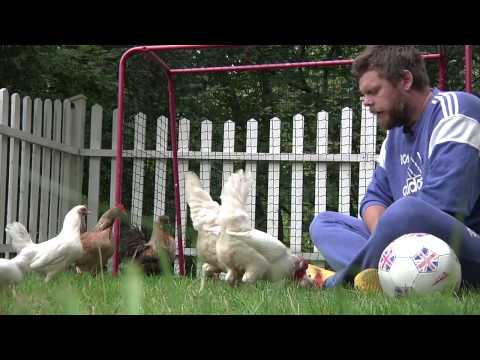 Steve Strudeli scoutar Kalmar FF