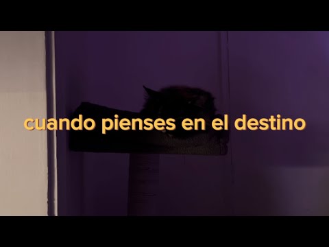 cuando pienses en el destino - gabriela arcos | visualizer