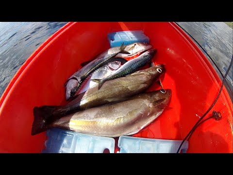 Hard Work Fishing for Mackerel and Pollack but a Stunning Morning at Sea