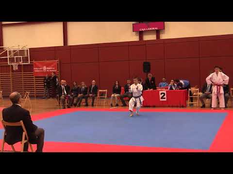 JDN Kata y Kumite Cadete y Junior 201018 Video 10