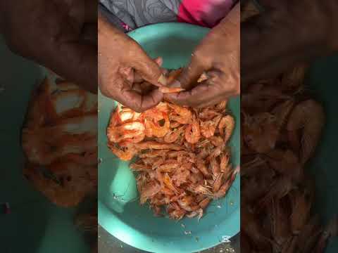 Pueblo viejo Magdalena y su tesoro perdido 🥹