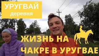 Уругвайская чакра. Что это такое? Как мы живем на ферме в Уругвае.