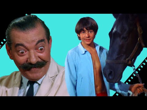 Don't Look a Gift Horse in the Mouth | Monkee Episode Review
