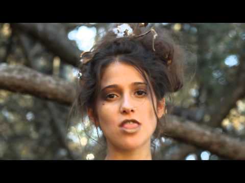 El Cosechero   Tonolec CAVII