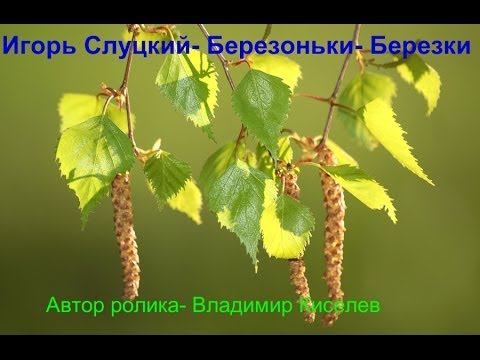 Игорь Слуцкий Берёзоньки- Берёзки