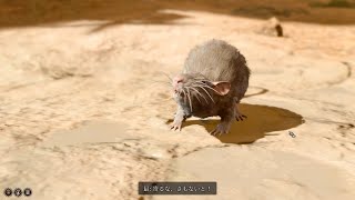 [Baldur's Gate3/BG3]空洞の歯が欠けたネズミさん/A rat with a tooth missing in the cavity.[日本語/JPN]