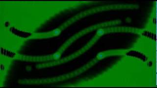 Green Lizard - Wrapped Around Your Finger