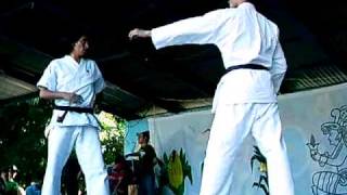preview picture of video 'Karate demostracion en Danli'