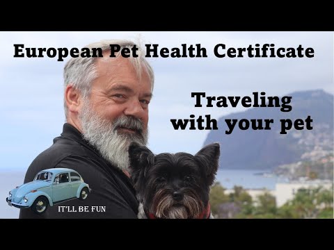 Taking Your Pet Abroad When Moving Is a Process  | Madeira Island Portugal | @It'll Be Fun
