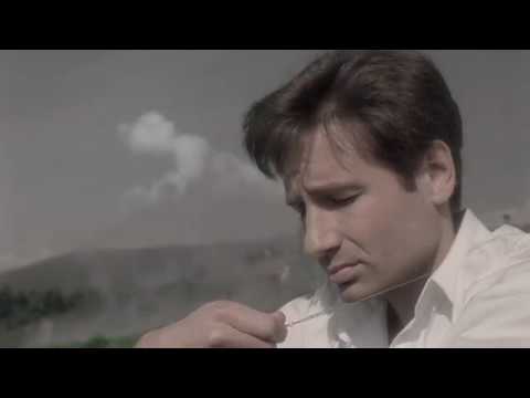 Mulder & Scully - I Found [AU]