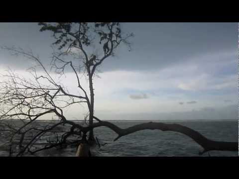 Dennis Penna - Salto da árvore - Jericoacoara - Ceará