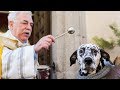 Bless My Pet