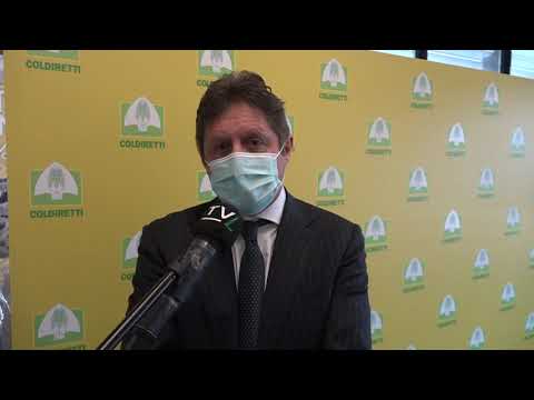 Pistoia: in agricoltura allarme per i danni da gelo