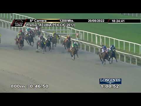 220820 c08 VICE VERSO