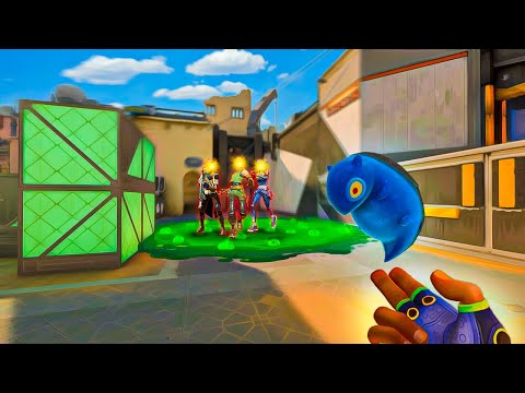 2000 Stunden als Radiant Gekko Main