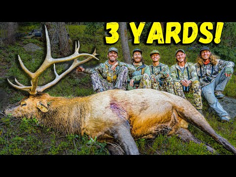 COLORADO Elk with Bow!!! (15 miles deep on PUBLIC LAND)