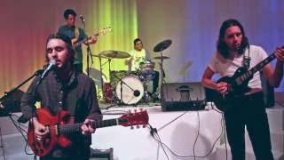 Hibou-Live at Fred Wildlife Refuge