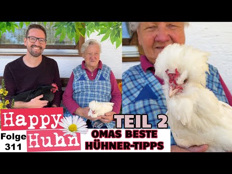 Old-Fashioned Chicken Keeping Knowledge PART 2 Grandma's Best CHICKEN TIPS! Chick Rearing HAPPY C...