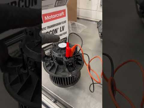 How to check if your blower motor needs to be changed! #shorts #mechanic #repair #ford