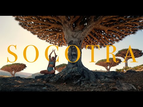 Socotra Island, Yemen - Step Into Another World | 4K Cinematic