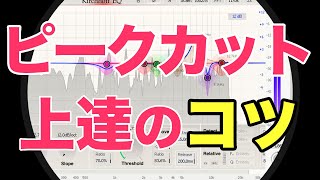 もう迷わない!EQのピークカットが上手くなる方法【ボーカルミックス】