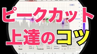  - もう迷わない！EQピークカットが上手くなる方法【ボーカルミックス】