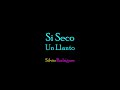 Si Seco un Llanto. Silvio Rodríguez (con letra)