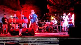 Side to Side Verdicchio Sound System the cat empire