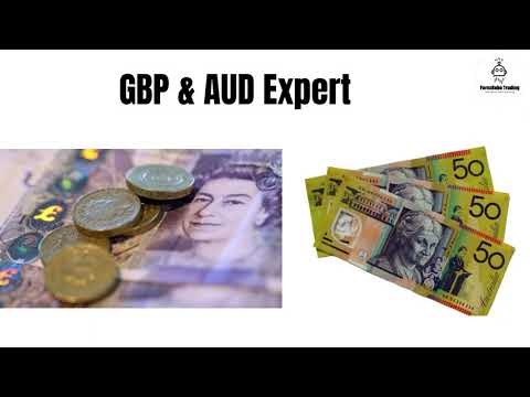 02.10.2021 performance of 24 Profitable Robos