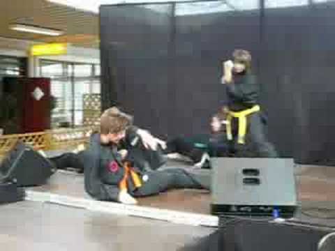 Veitvetdagene 2008