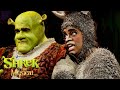Don T Let Me Go Shrek The Musical