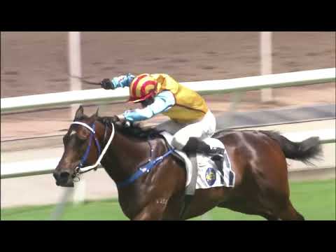 25/6/2022 (773) Nunchuks - B Shinn