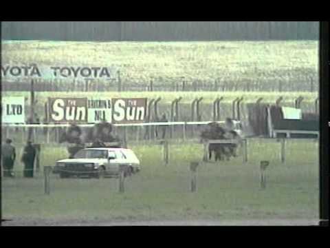 1983 Aintree Novice Hurdle Dawn Run.mpg