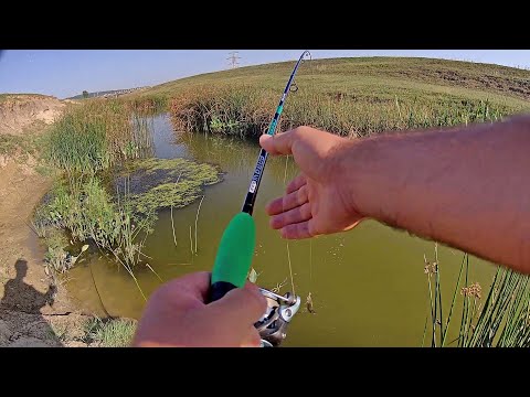 Pescuit la clean / Spinning la rapitor atacuri pe Barlad part 1 lanseta Baracuda Green Arrow
