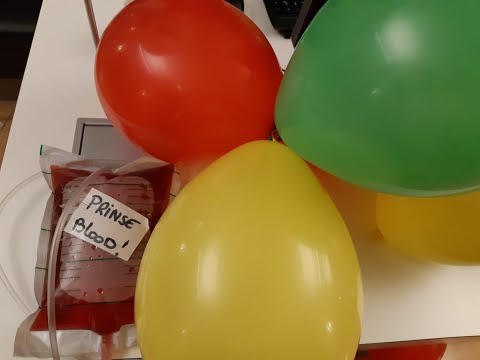 Gaef ós prinseblood - Kartoesj - LVK2019