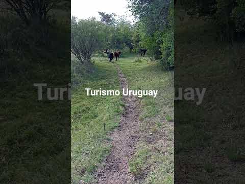 fray Marcos florida Uruguay