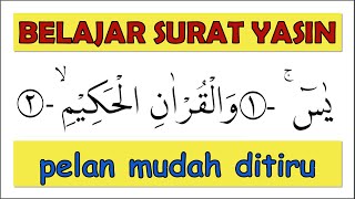 Download lagu SURAT YASIN // BELAJAR NGAJI PELAN-PELAN // MUDAH DITIRU mp3 Download lagu SURAT YASIN // BELAJAR NGAJI PELAN-PELAN // MUDAH DITIRU mp3