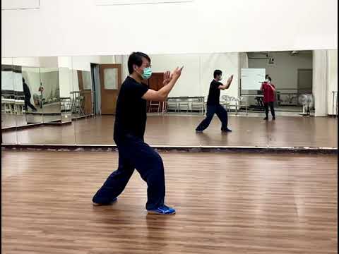 左臂平伸手掌向下