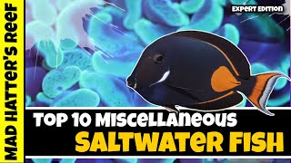 Top 10 Miscellaneous Saltwater Fish for Experts