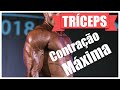 Técnicas de treino #4 - Tríceps