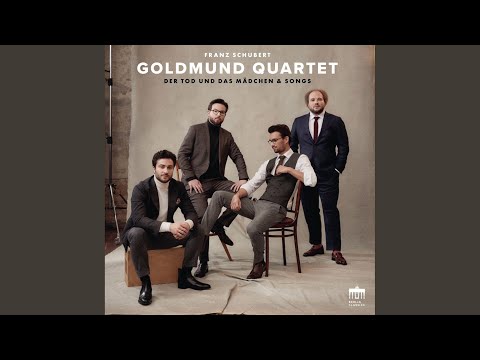 Streichquartett in D-Moll "Der Tod und das Mädchen", D. 810: I. Allegro