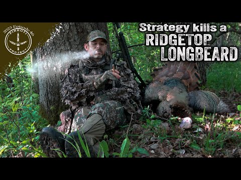 KILLING SMART GOBBLERS | PLAYING the GAME RIGHT | EASTERN GOBBLERS in the HARDWOOD RIDGES- Pinhoti