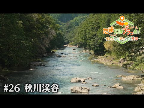「たまにはプラっと！」　2024年9月27日放送